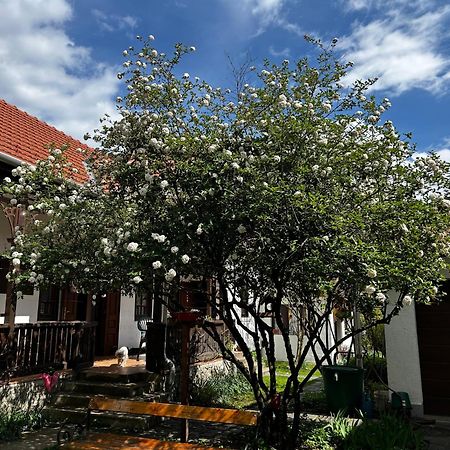 Appartamento Magnolia Garden Miskolc Esterno foto