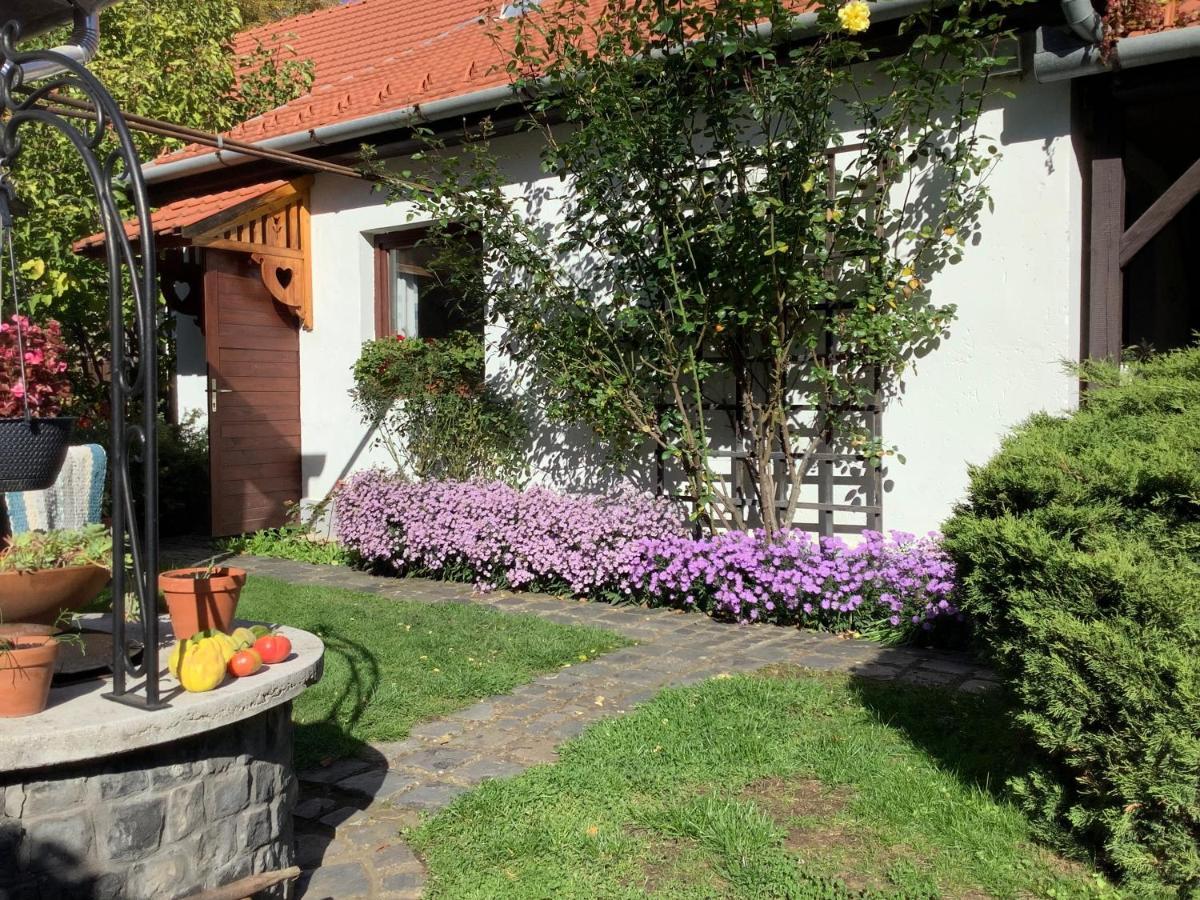 Appartamento Magnolia Garden Miskolc Esterno foto